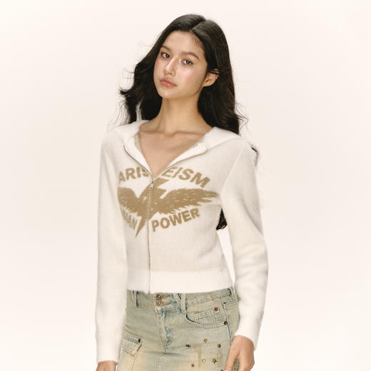 Ariseism美式复古设计感短款连帽开衫毛衣外套女秋季新款修身上衣 商品图1