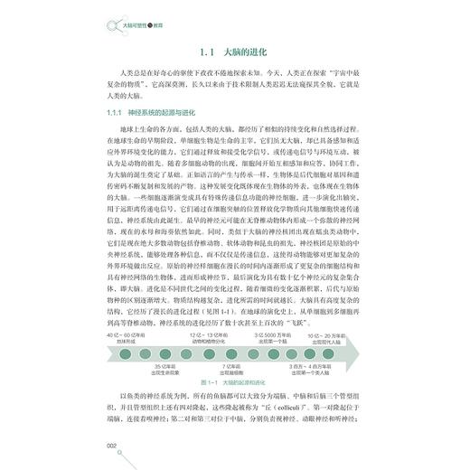 大脑可塑性与教育/课程学习与技术前沿系列教材/耿凤基主编/浙江大学出版社 商品图2