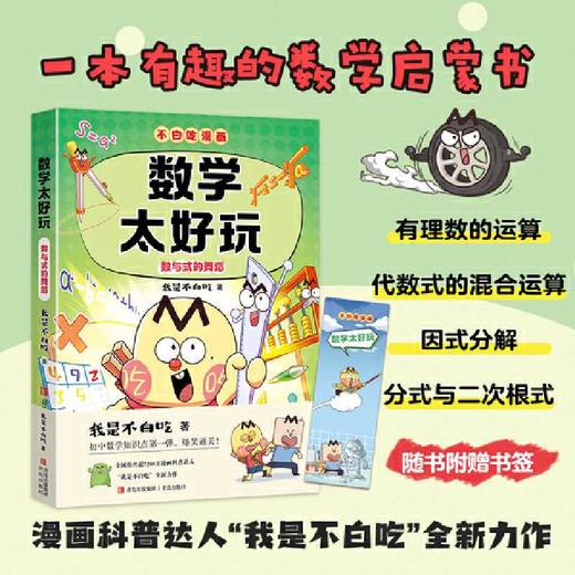 数学太好玩.数与式的舞蹈 商品图1