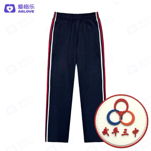 武平第三中学（夏）2025新款 商品图4