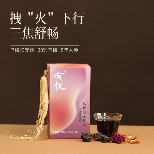 「乌梅归元饮」 告别上热下寒 酸甜乌梅子味道 商品图0