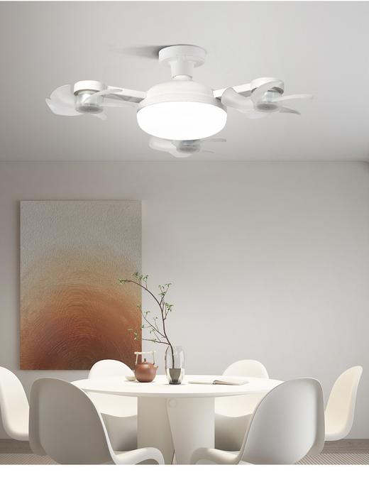 风扇灯 商品图2