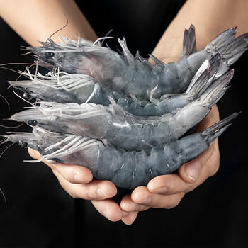 GUO LIAN厄瓜多尔原装进口白虾3.3斤净重特大号49-66只 生鲜海鲜源头直发 商品图6