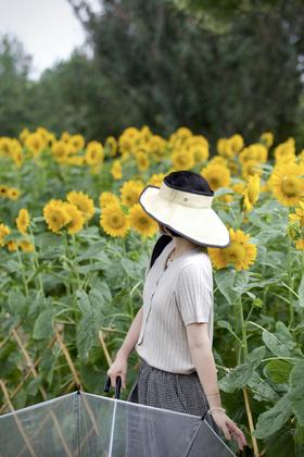 闪照第336期 向日葵