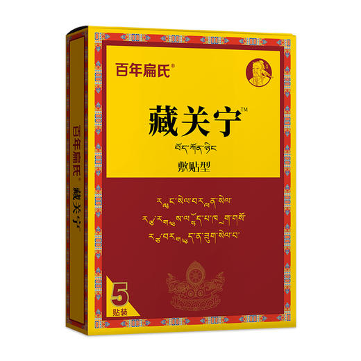 百年扁氏藏关宁 商品图4