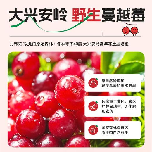 100%有机野生蔓越莓原浆0加糖0加水 30ML*7   A-1891 （效期26-8） 商品图3