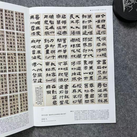 【金农书法作品集】散落人间系列丛书 商品图5