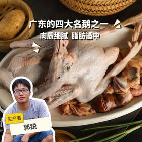 生态马岗鹅 | 合作生产* Eco- goose | Copruduction