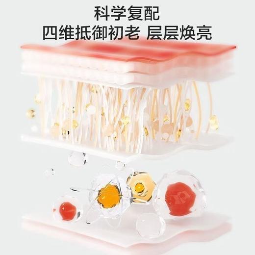 韩束墨菊深度补水滋养霜 50g新品-9929 补水弹嫩 商品图2
