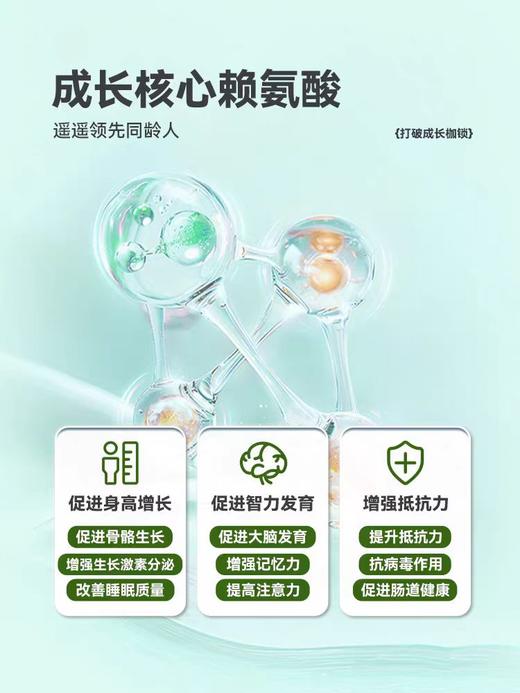 新西特水竹钙/XXT-350990 商品图4