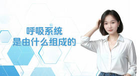 呼吸系统是由什么组成的？