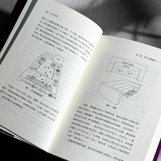 VIP世界 美貌经济的社会学透视 阿什利·米尔斯 性别研究 薄荷实验 商品图10