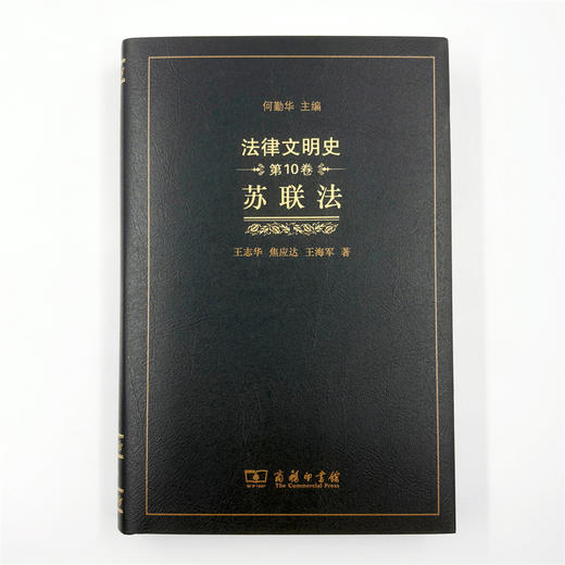 法律文明史(第10卷)：苏联法 商品图1