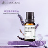【站桩养正•养正好生活】云草堂单方薰衣草精油10ml 商品缩略图0