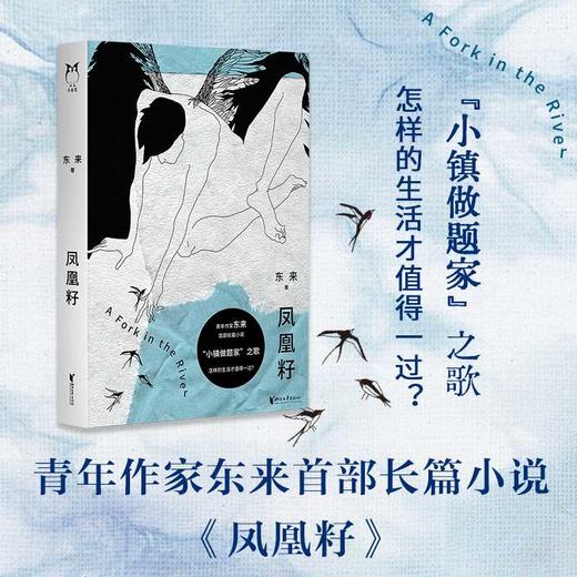 凤凰籽 商品图0