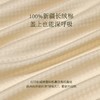 【新品】水星家纺蚕丝被二合一被子有机蚕丝60s长绒棉A类被芯精选 商品缩略图3