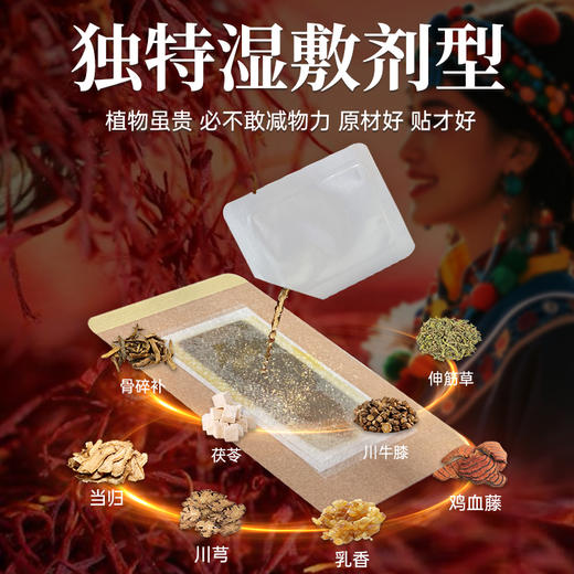 百年扁氏藏关宁 商品图3