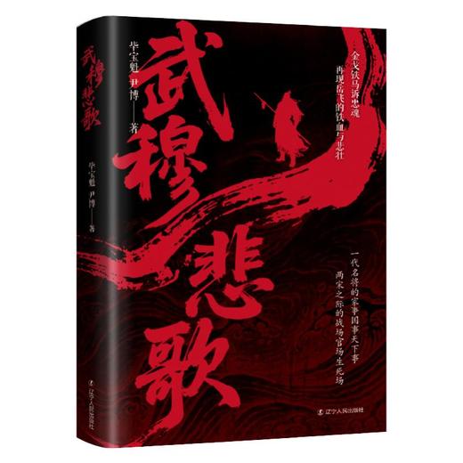 武穆悲歌 商品图0