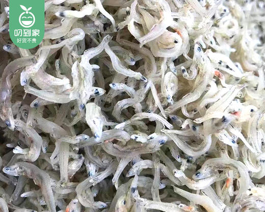 东山丁香鱼干/1包（约250g）生产日期：26年4月 商品图1