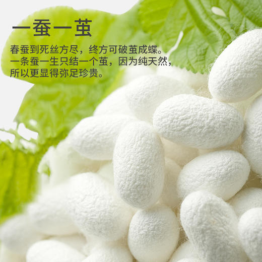 【100%蚕丝底裆】樱姿娜铂金蚕丝内裤800，100%桑蚕丝底裆，6条礼盒装 商品图7