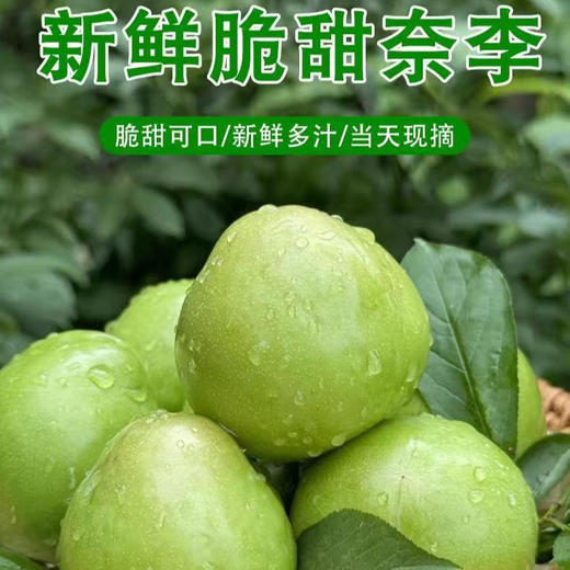 前岐油奈李蜂糖李当季新鲜水果桃形李青脆奈李5斤装 商品图0