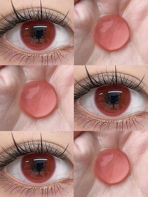 Breeze半年抛-爱丁堡山楂 商品图3