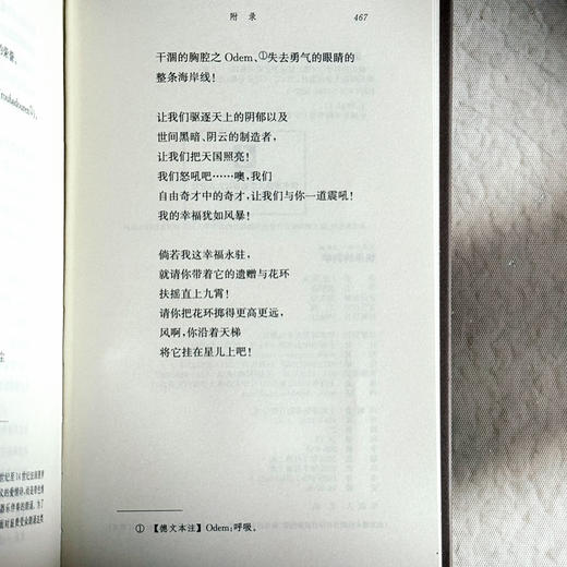 快乐的科学 尼采全集 注疏版 尼采中期代表作 《朝霞》续集 商品图14