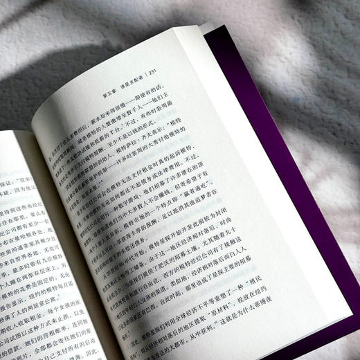 VIP世界 美貌经济的社会学透视 阿什利·米尔斯 性别研究 薄荷实验 商品图13