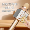 索爱（soaiy）MC1 无线k歌手机麦克风话筒 直播主播唱歌神器麦克风音响音箱一体无线蓝牙家庭户外ktv 雅典黑 /数码 /影音娱乐 /麦克风 商品缩略图1
