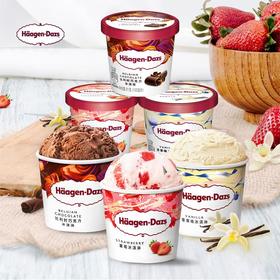 哈根达斯冰淇淋/单杯装
