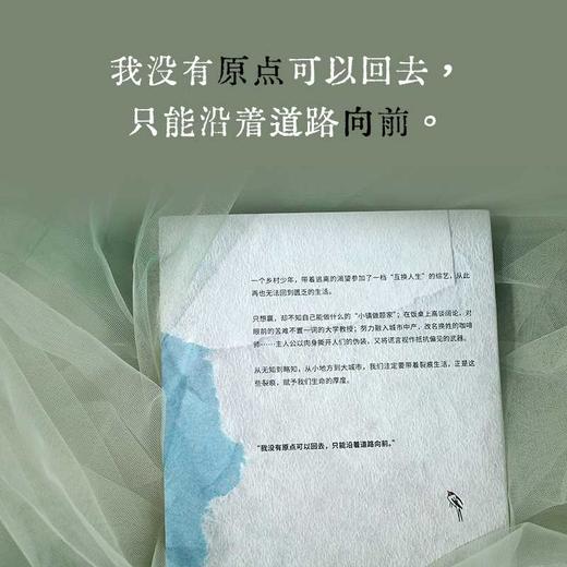 凤凰籽 商品图2