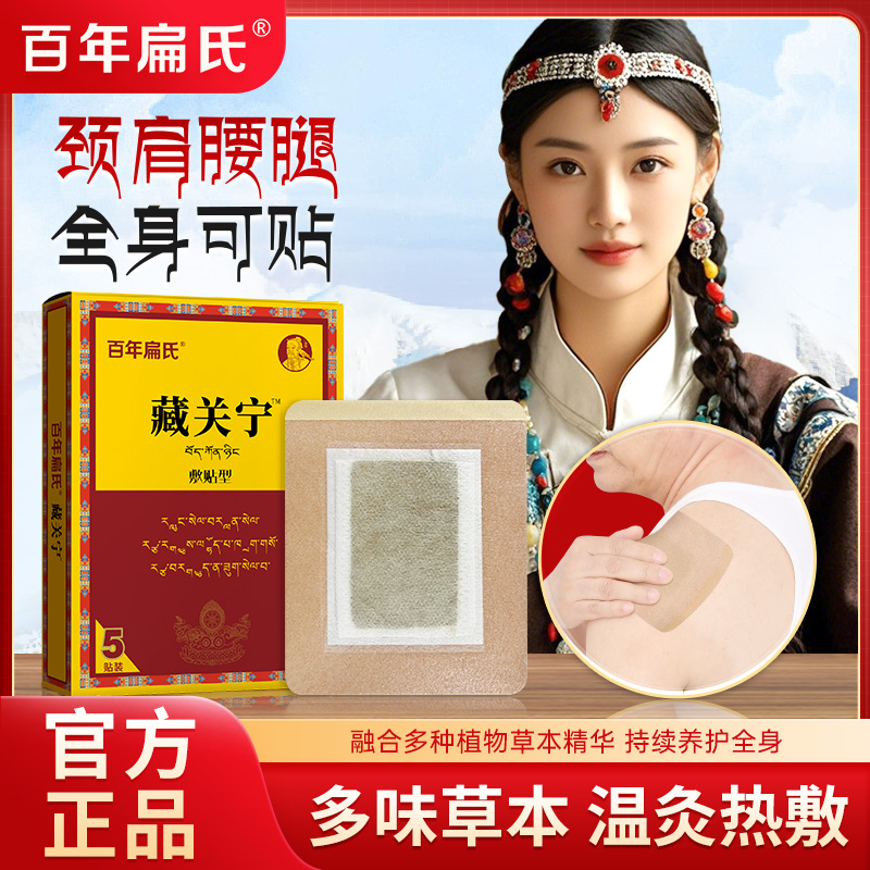 百年扁氏藏关宁