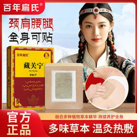 百年扁氏藏关宁