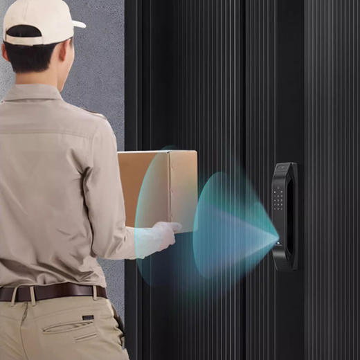 德施曼Q5mplus智能门锁 商品图2