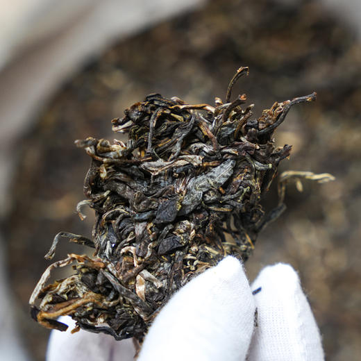 茶界顶级奢香【帝王香】【严选六棵大古树单株】三年陈化；2022年普洱香妃景迈茶王树所在地芒洪古茶园六棵大古树单株头春头采；357g/饼！ 商品图2