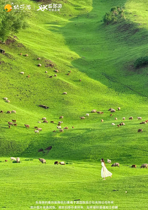 【臻享伊犁】双飞8天 商品图2