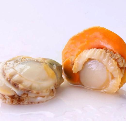 【长岛红贝肉】发货地：烟台，快递：顺丰。快递：西藏、青海省玉树藏族自治州、港澳台 不发货。云南、新疆，黑龙江、甘肃、青海（除玉树），海南+25元/件 商品图3