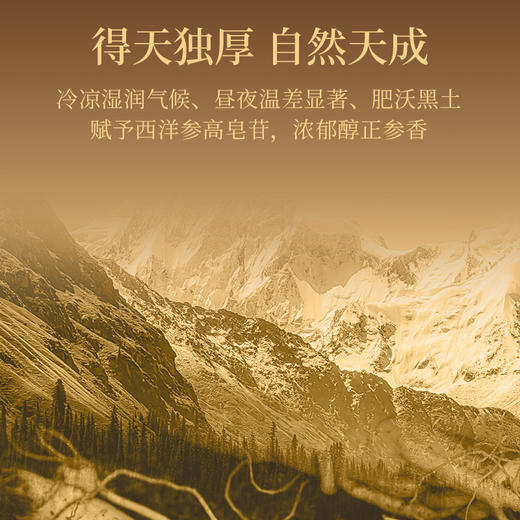 严选 | 杞里香东方颂西洋参礼盒 足龄老参 参龄软枝切片 商品图8