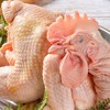 冷鲜 丘陵放养鸡/份 商品缩略图2