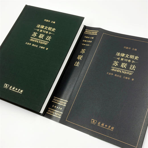 法律文明史(第10卷)：苏联法 商品图4