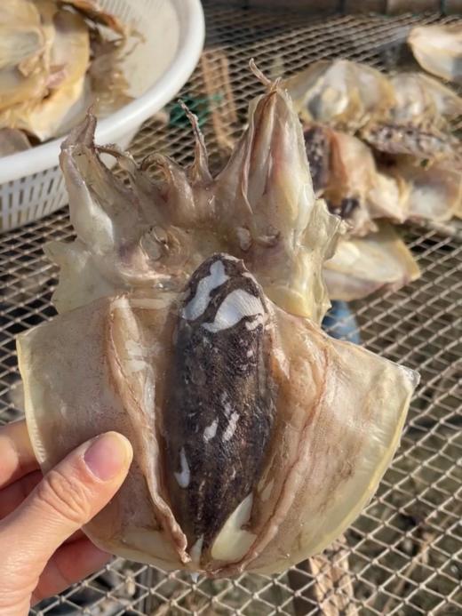 & 淡晒墨鱼干🦑纯日晒☀滋补好东西，零添加，营养价值高✅ 商品图1