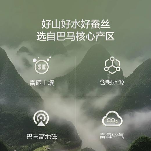水星家纺 巴马双宫茧桑蚕丝二合一被 商品图2