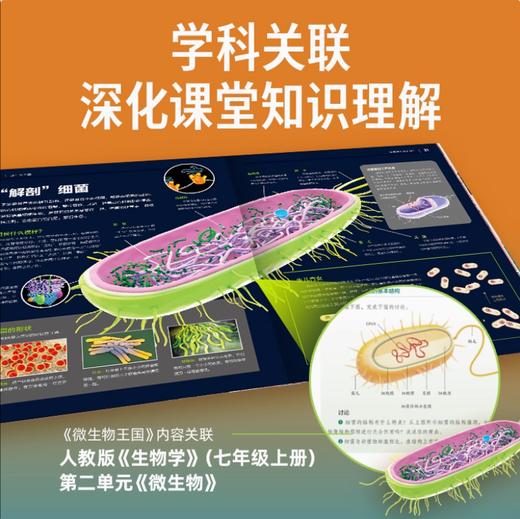 【全辑多规格】中国少儿百科知识全书：1-4辑全40册 商品图4