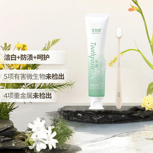 安姑娘植物洁白牙膏 PLA环保可降解牙刷 无香精无氟 美白氨基酸  纯素日用 植物基 0动物成分 0动物实验 [漳州仓] 商品图8
