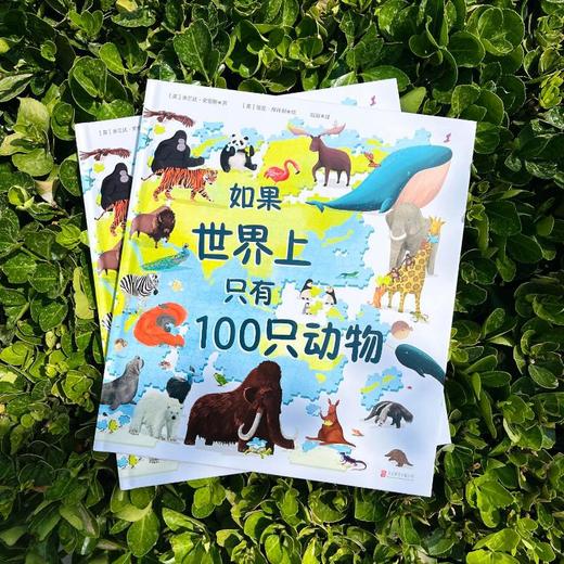 如果世界上只有100只动物 商品图1