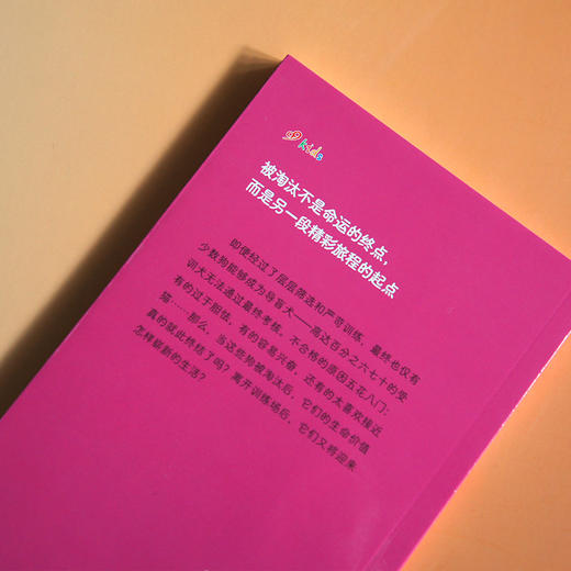 不合格的导盲犬（救救动物！）（它们没能成为“导盲犬小Q”，却用另一种方式照亮你的世界！） 商品图1