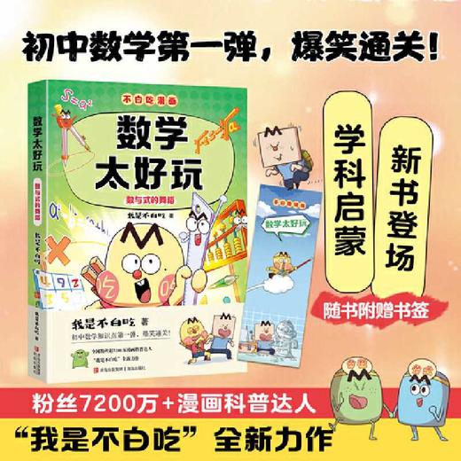 数学太好玩.数与式的舞蹈 商品图2