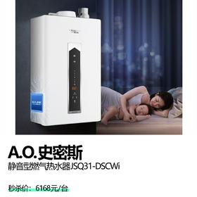 A.O.史密斯  静音型燃气热水器JSQ31-DSCWi