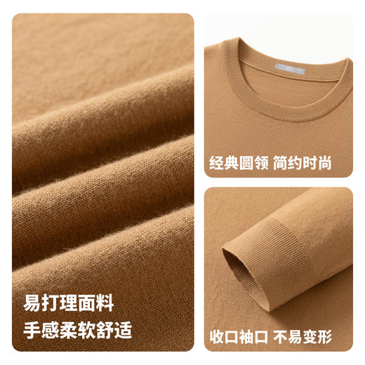 圣得西男士娟丝绒平板薄毛衫2025秋季柔软易打理时尚百搭针织衫 商品图4