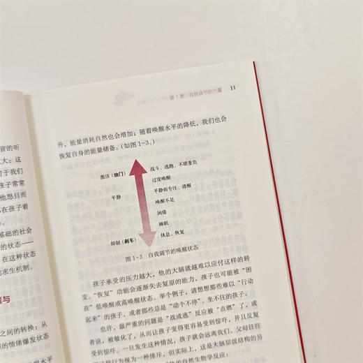 不做喷火小哪吒:帮孩子从情绪失控到自我调节 商品图4